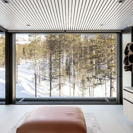 Vila House Of Grey Luxury With Private Pool By Aavalevi