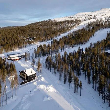 Vila House Of Grey Luxury With Private Pool By Aavalevi *